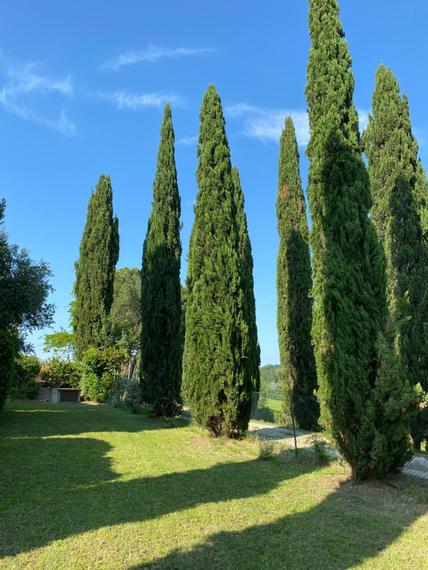 Villa Tre Colli - In The Heart Of Tuscany Certaldo Esterno foto
